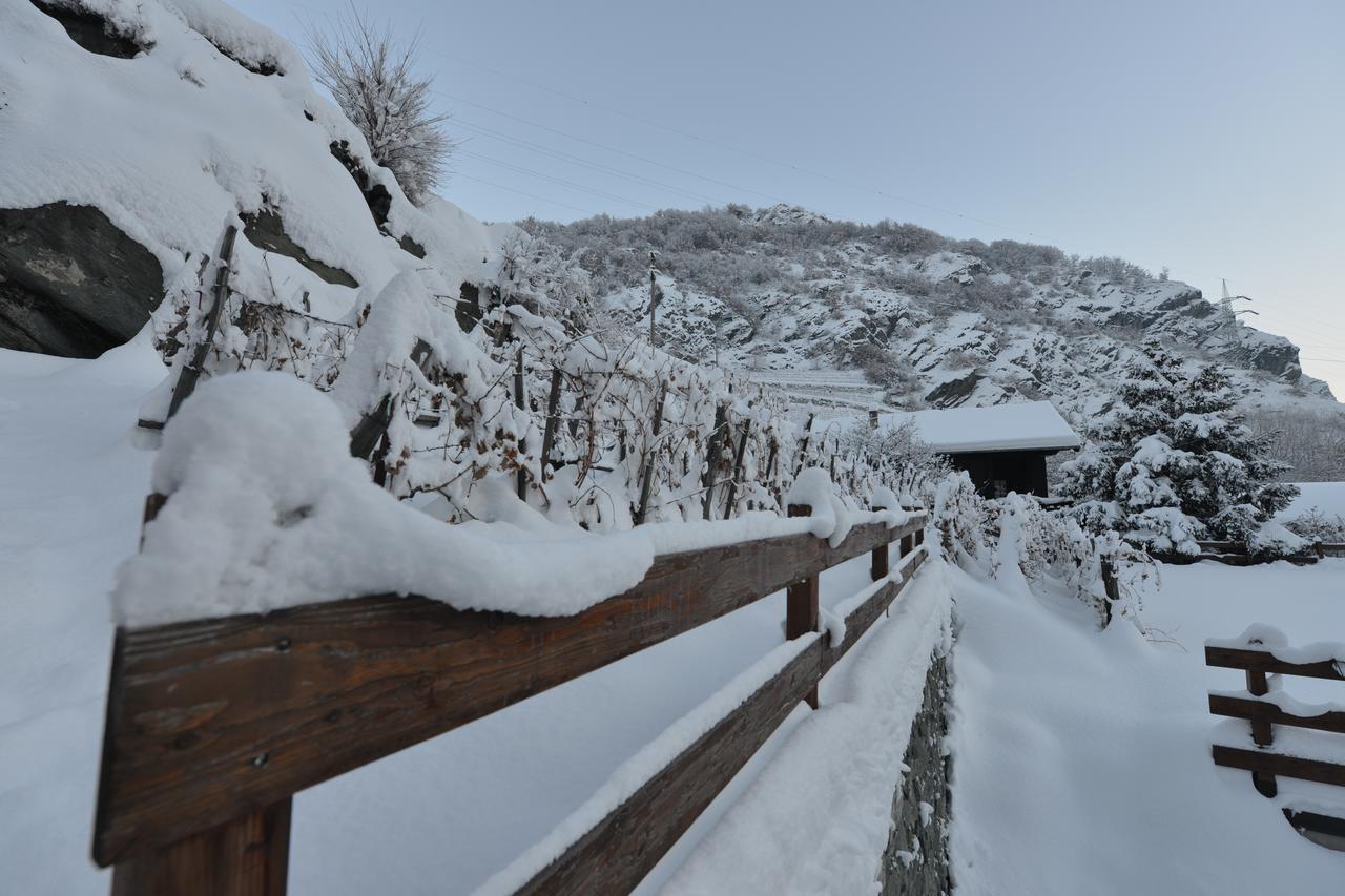 Au Berceau Du Bien-Etre Villa Chambave Dış mekan fotoğraf